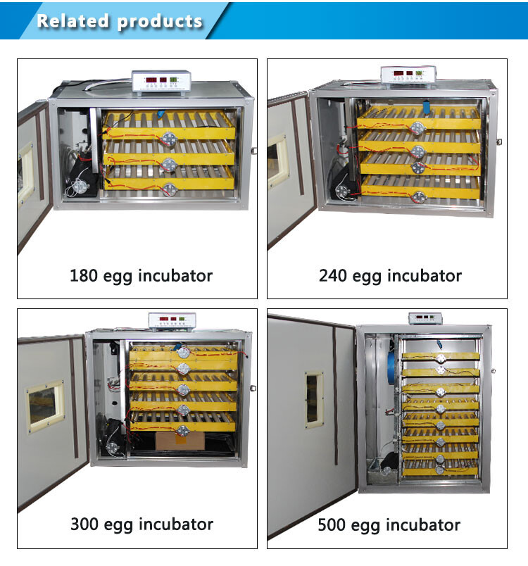 solar egg incubator (7).jpg solar egg incubator (7).jpg