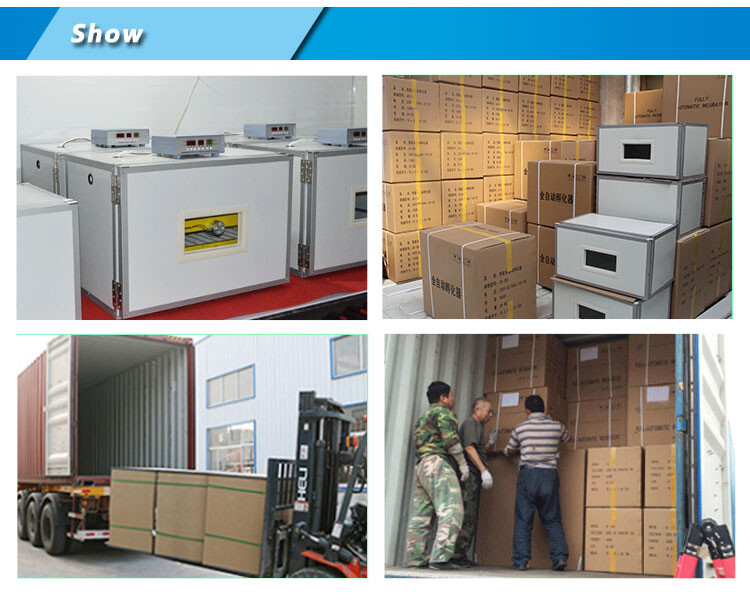 solar egg incubator (9).jpg solar egg incubator (9).jpg