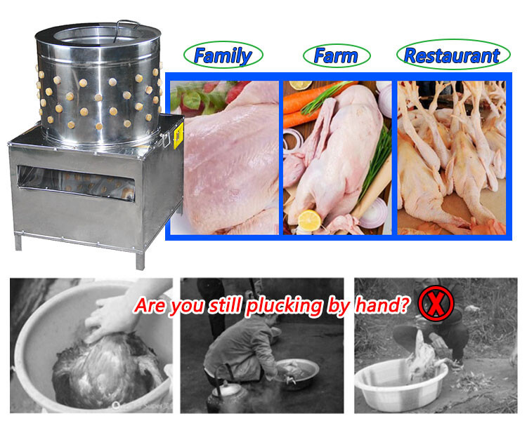 chicken plucker (4).jpg