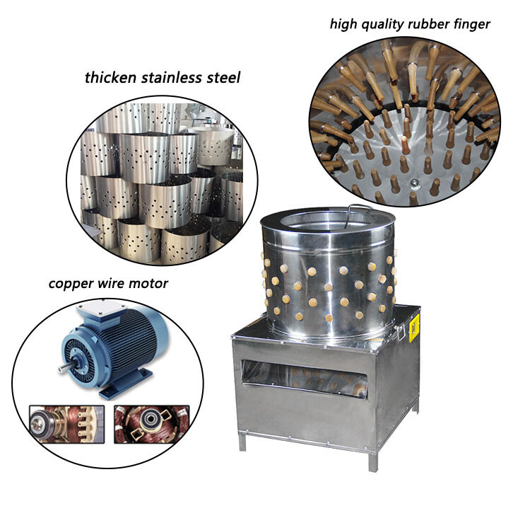 chicken plucker (5).jpg