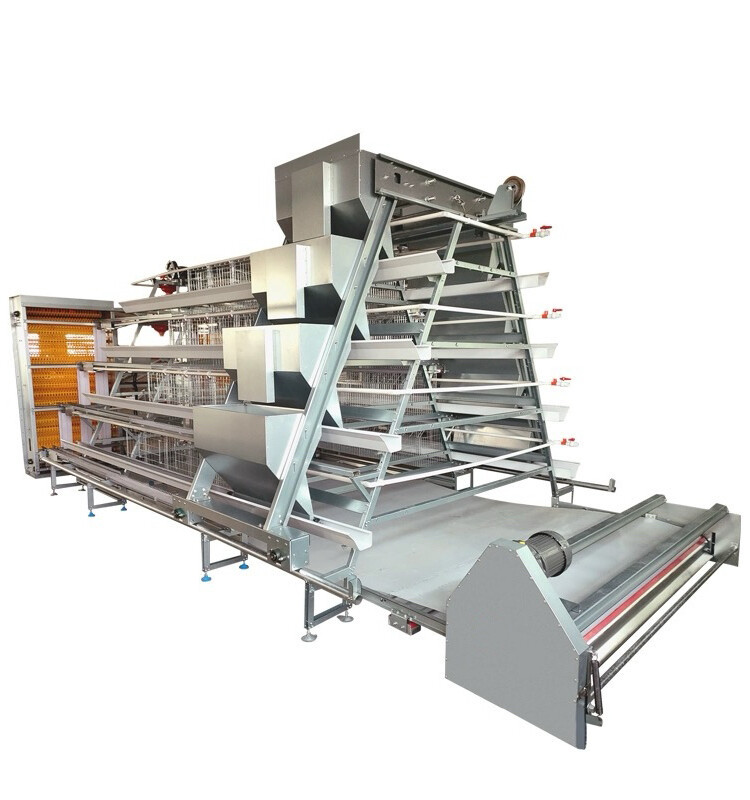 chicken cage (2).jpg chicken cage (2).jpg