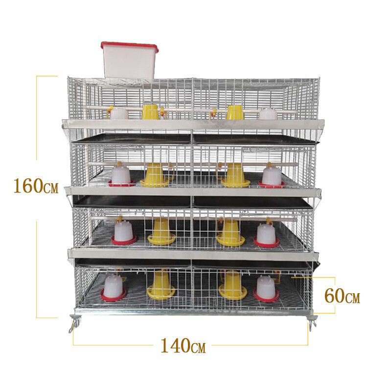 chicken cage (3).jpg chicken cage (3).jpg