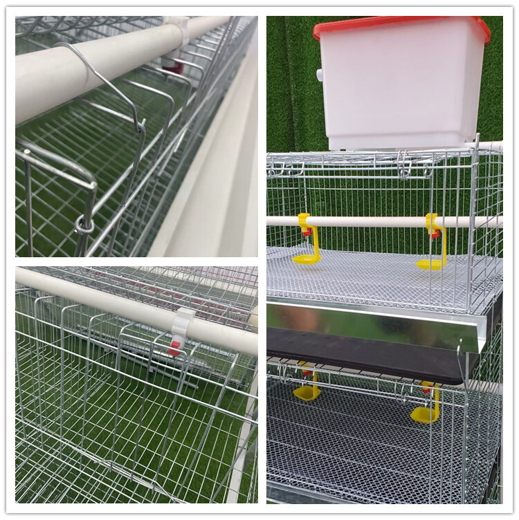 chicken cage (4).jpg chicken cage (4).jpg