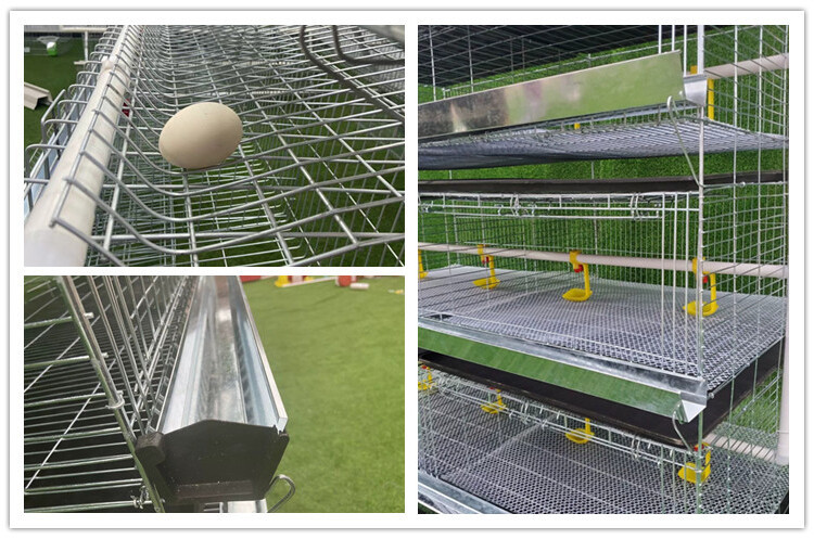 chicken cage (5).jpg chicken cage (5).jpg