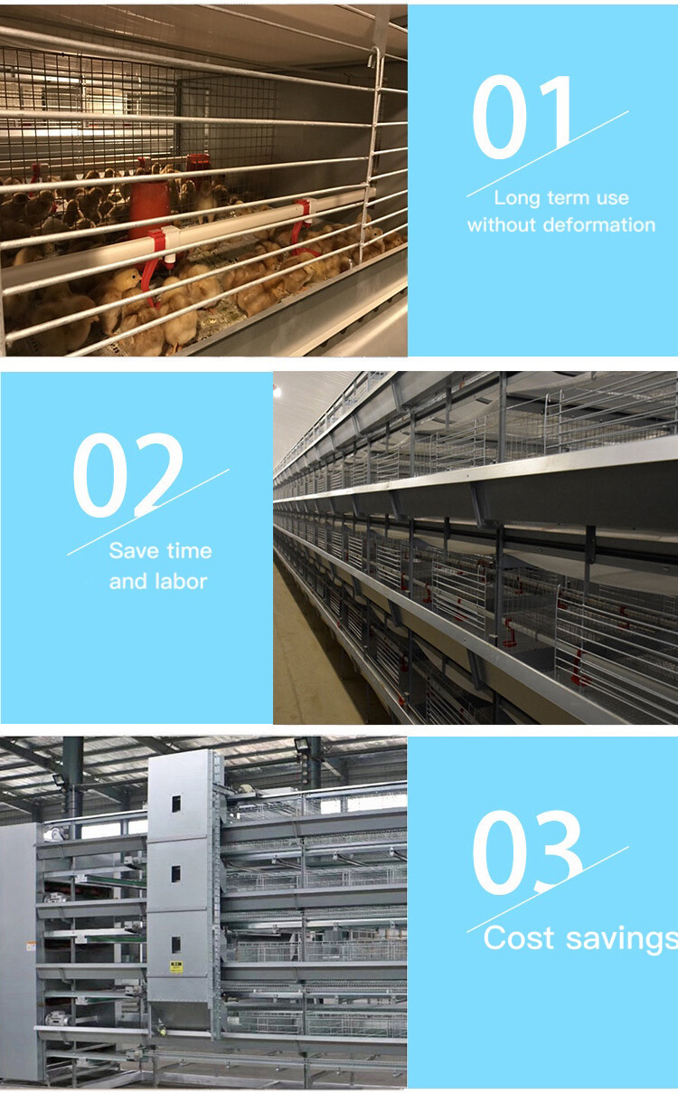 chicken cage (6).jpg chicken cage (6).jpg