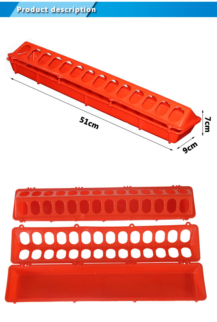 Pigeon feeder (3).jpg Pigeon feeder (3).jpg