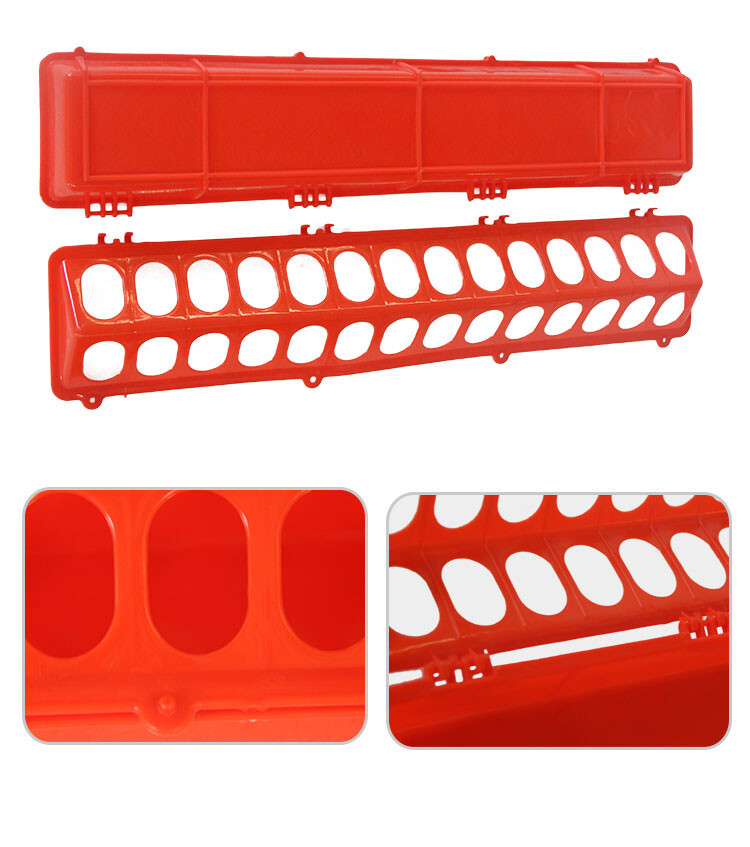 Pigeon feeder (4).jpg Pigeon feeder (4).jpg