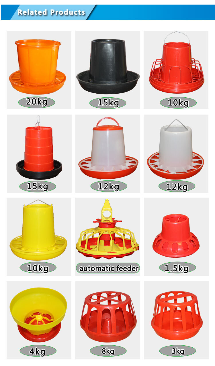 Pigeon feeder (6.jpg Pigeon feeder (6.jpg