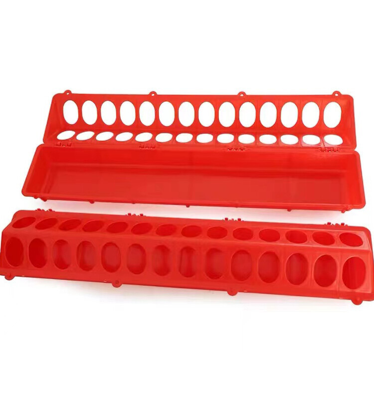 Pigeon feeder(2).jpg Pigeon feeder(2).jpg