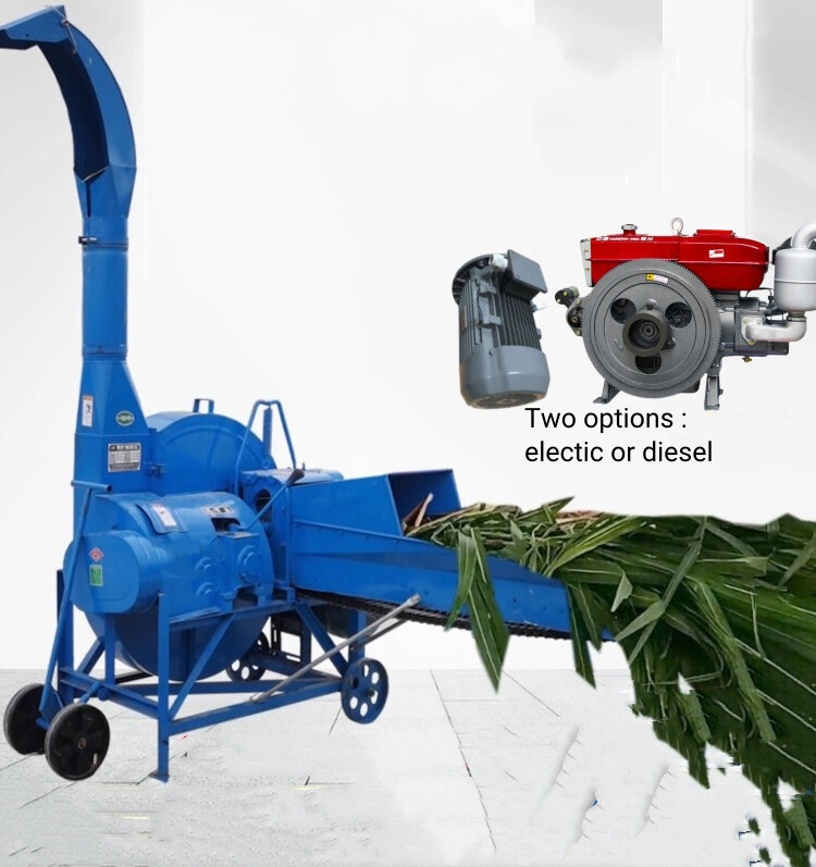 Chaff Cutter (4).jpg Chaff Cutter (4).jpg