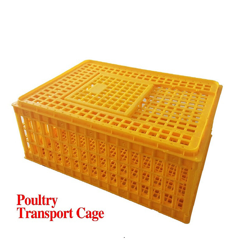 transport crate (2).jpg transport crate (2).jpg