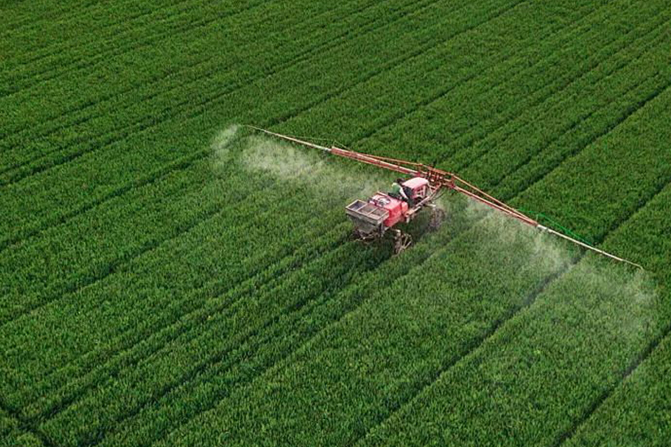 Are foliar fertilizers sprayed on crops more effective than conventional fertilizers?