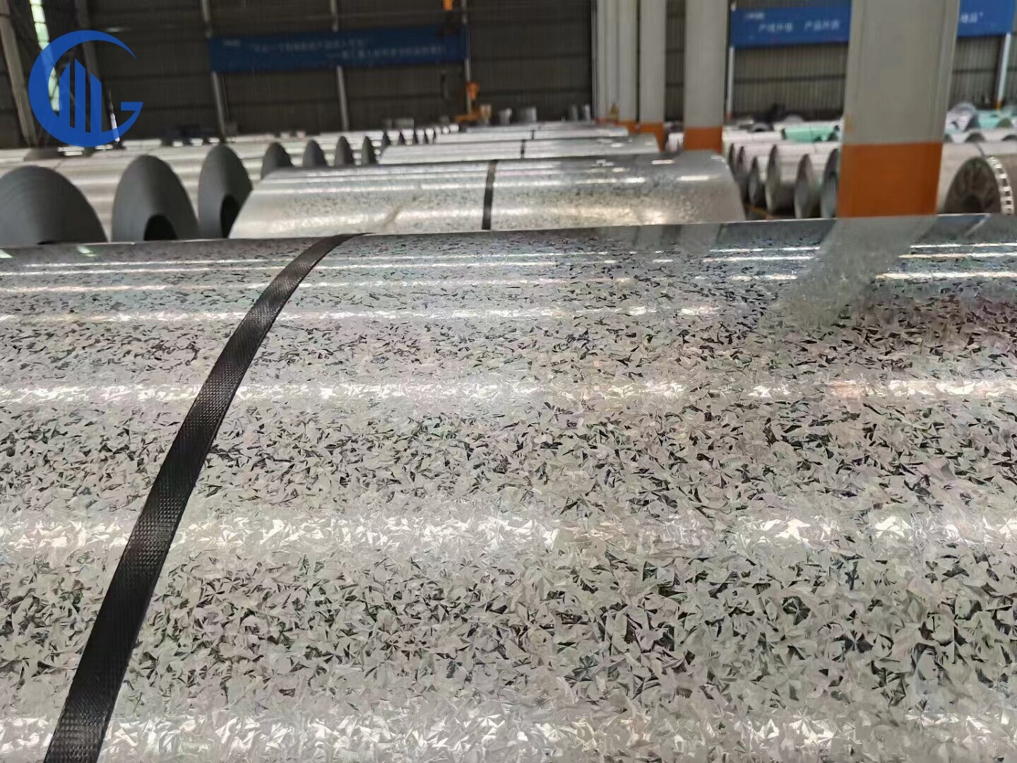Galvanized Coil