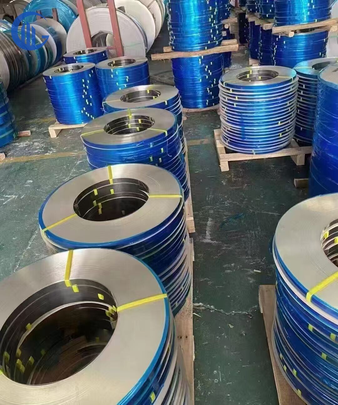 Stainless Steel Belt/Strip