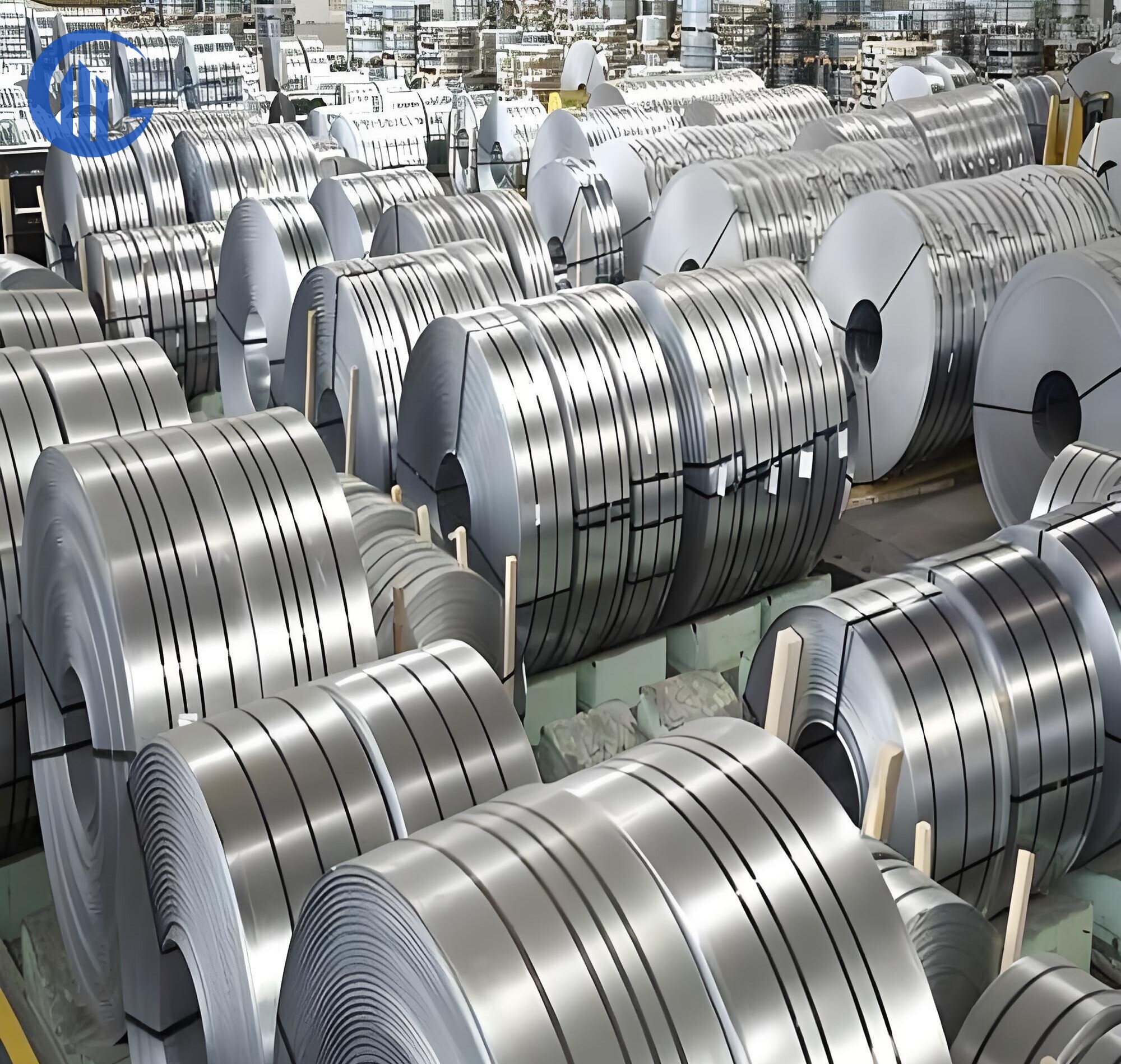 Stainless Steel Belt/Strip