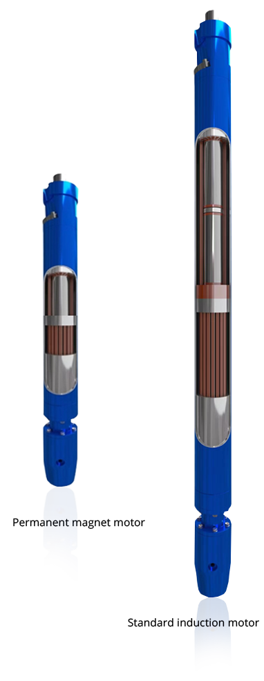 Synchronous Permanent Magnet Motors (PMM)