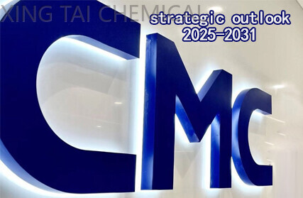 Global and Chinese Food-Grade Carboxymethyl Cellulose (CMC) Market Development Model and Strategic Planning Report 2025-2031