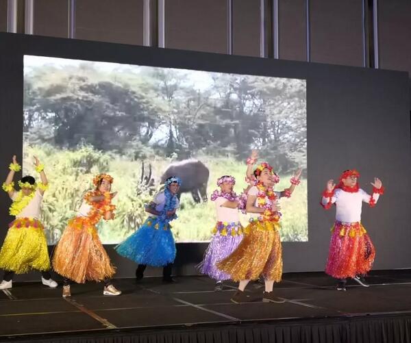 20190218_085313.jpg 20190218_085313.jpg