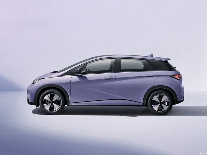 BYD ​Dolphin