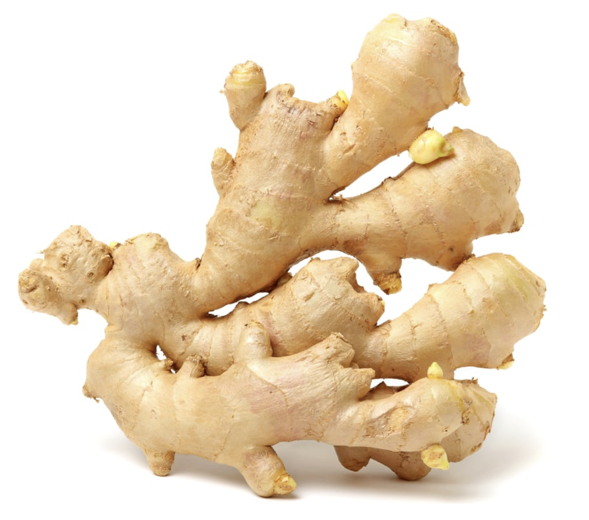 Ginger Root