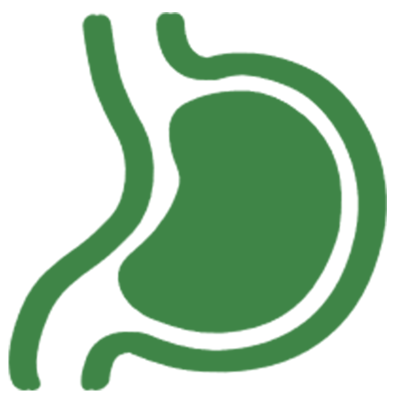 Digestive Health Digestive Health