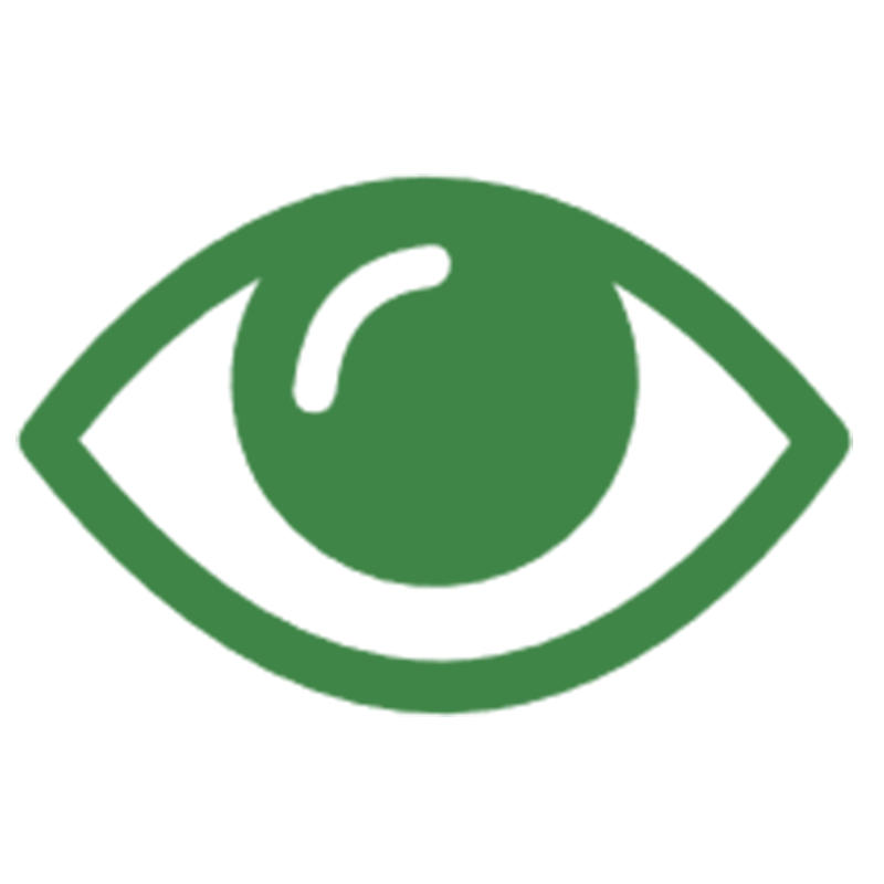 Eyes And Vision Eyes And Vision