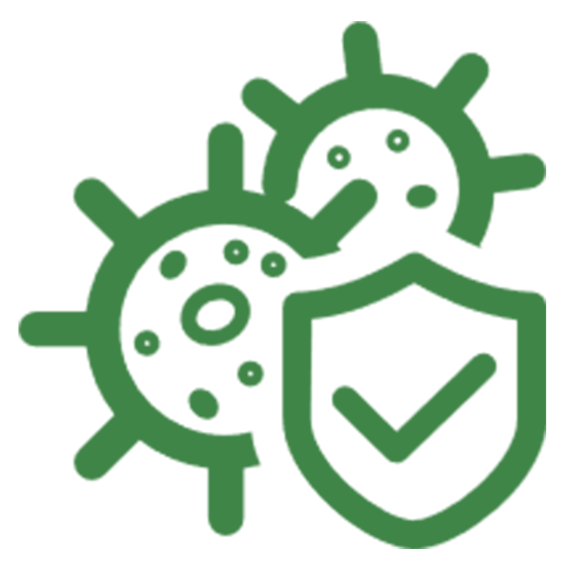 Enhance Immunity Enhance Immunity