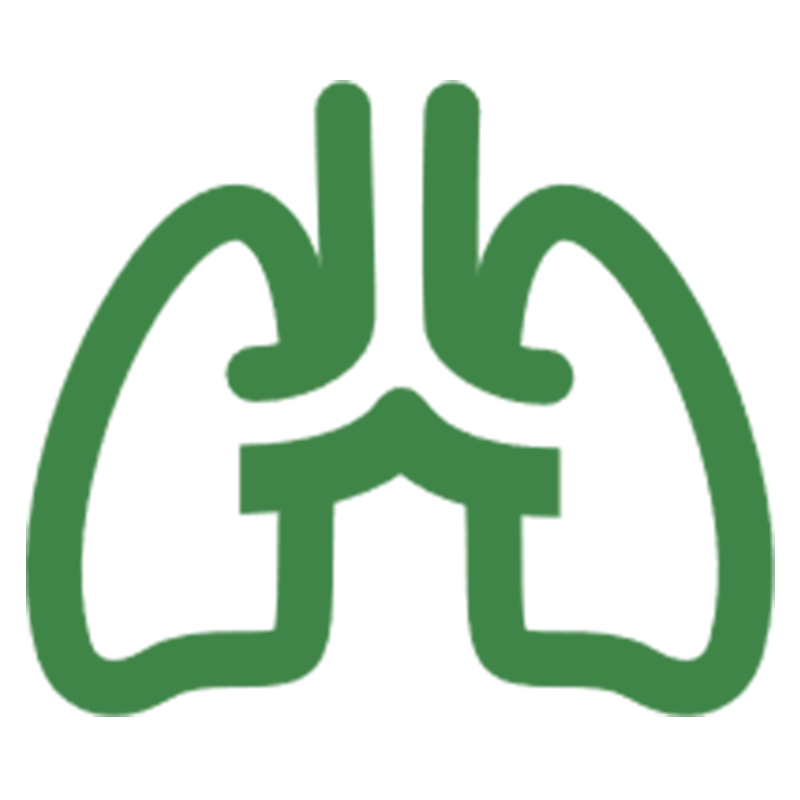 Respiratory And Lung Health Respiratory And Lung Health
