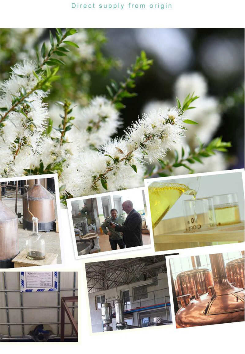 tea tree tea tree