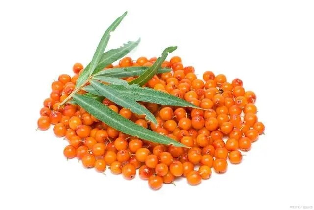 Organic SeaBuckthorn Powder