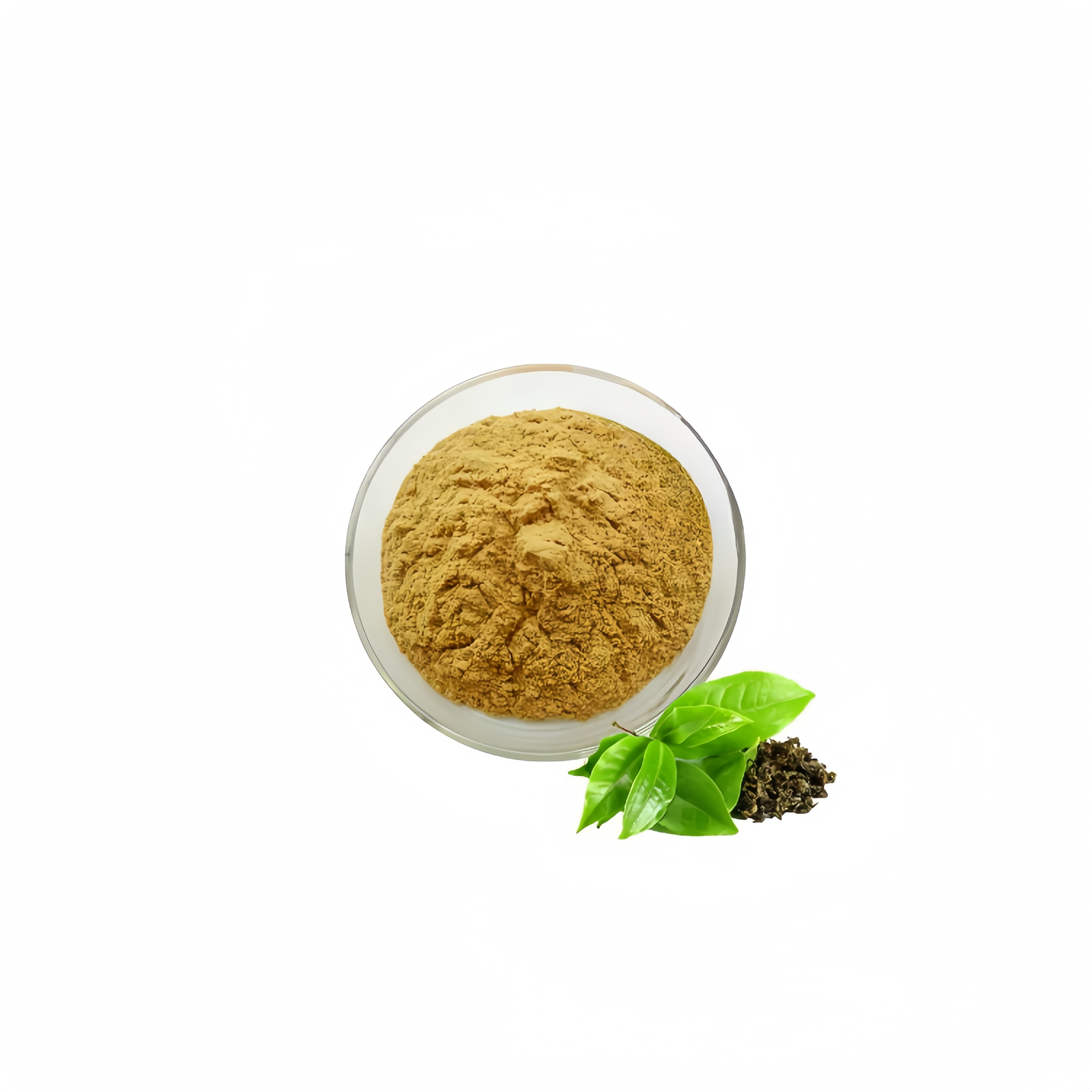 Organic Green Tea Extract Powder