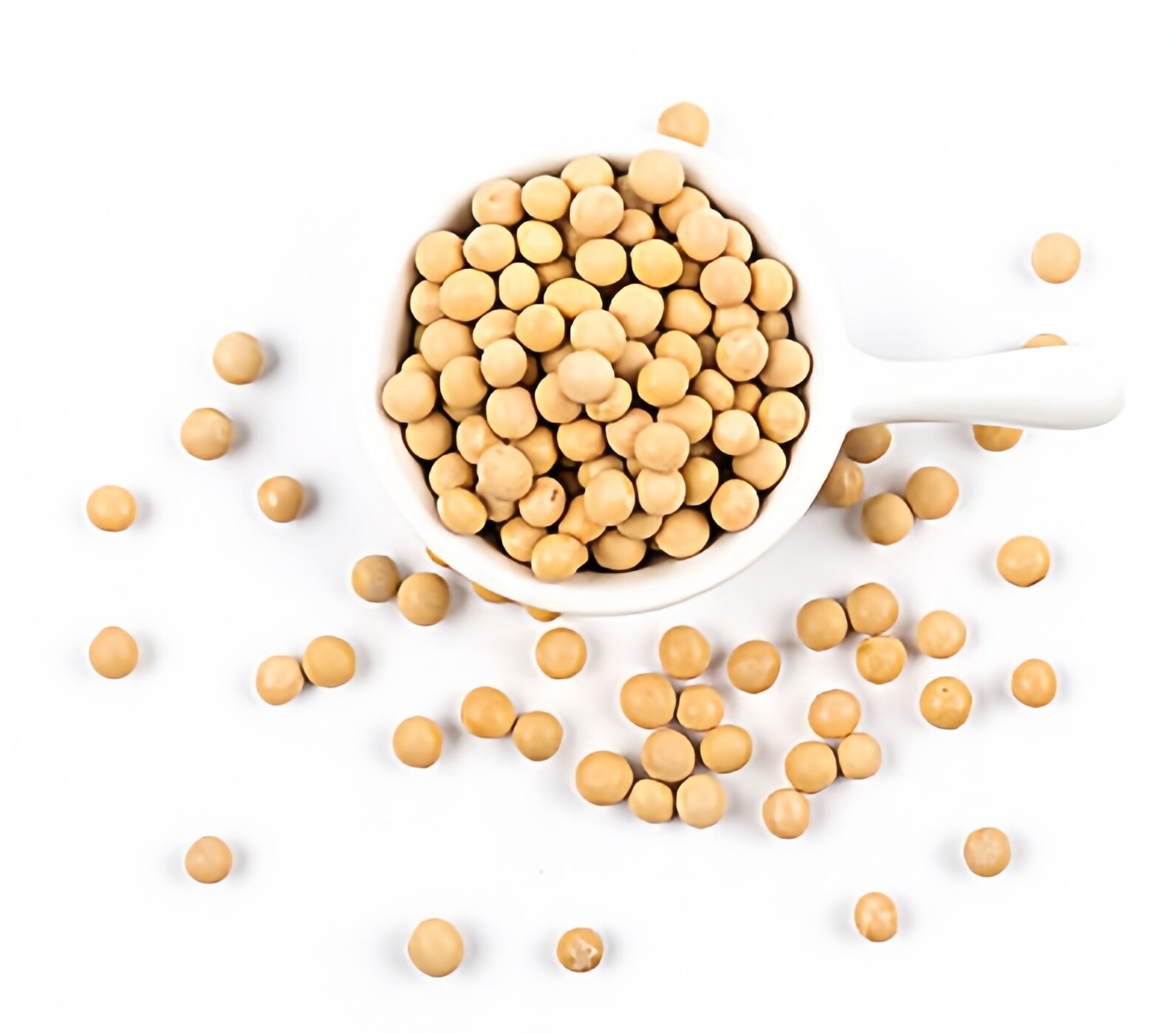 Organic Soy Phospholipids Powder