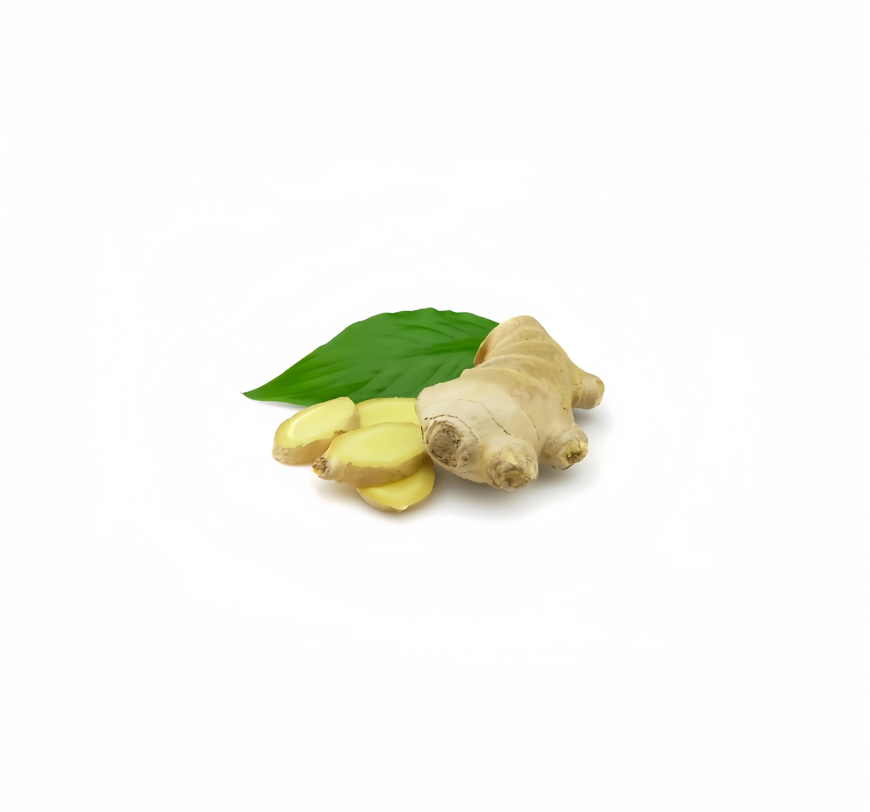 Organic Plant Ginger Extract Powder