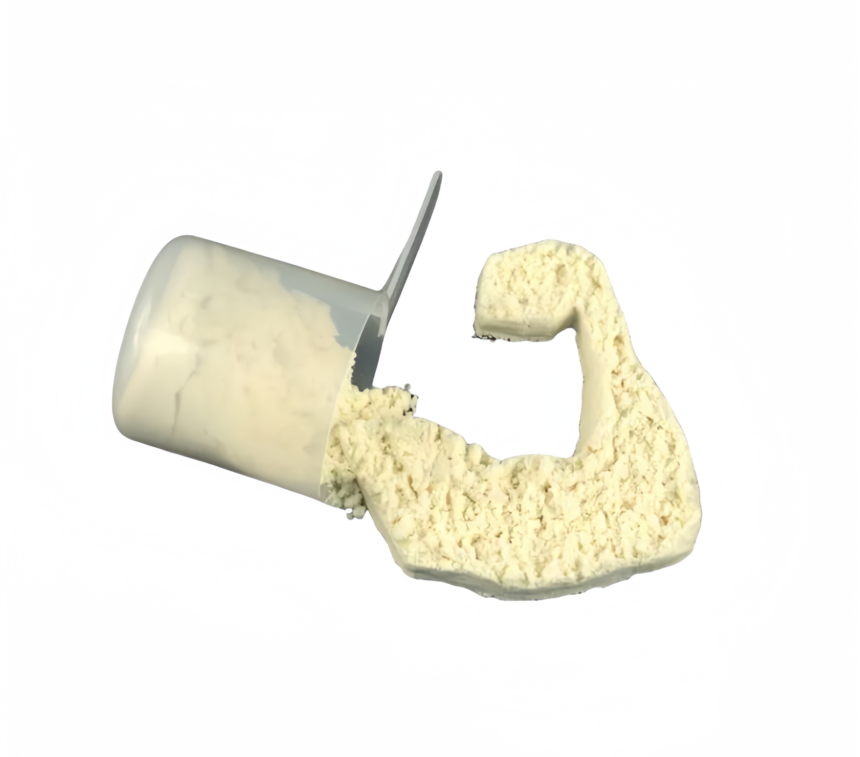 Organic Protein Powder