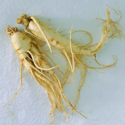  Ginseng capsules Capsules