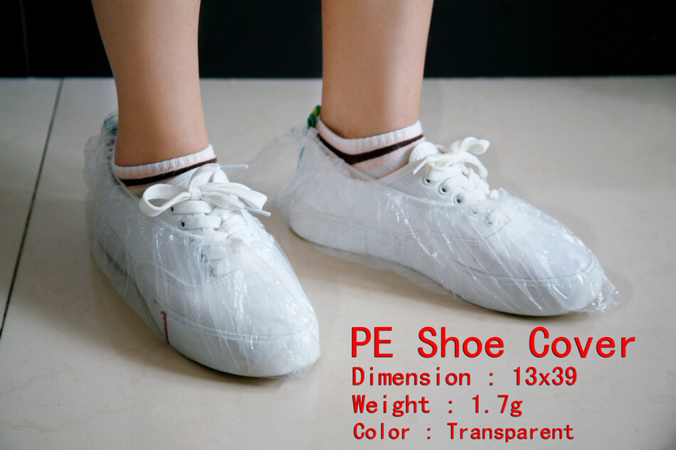 照片 013副本.jpg