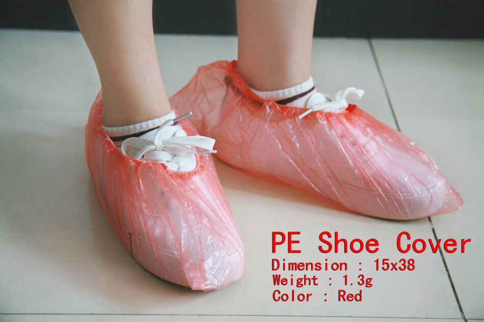 照片 017副本.jpg