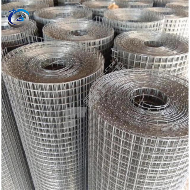 Galvanized Wire Mesh