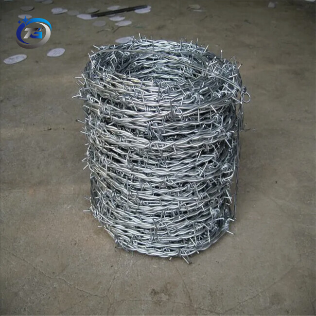 Galvanized Barbed Wire