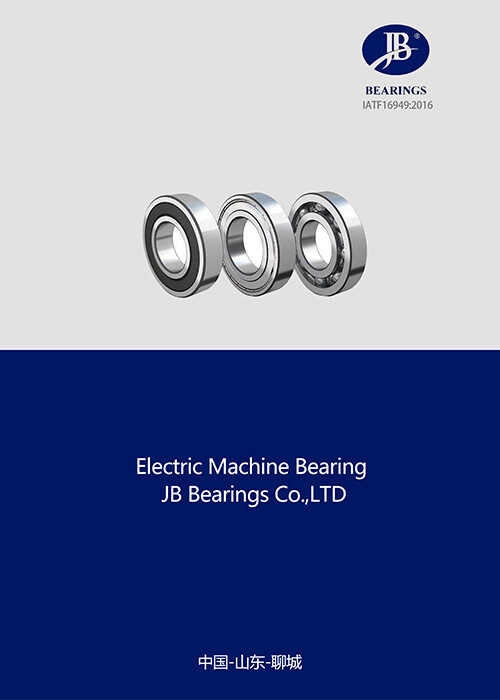 Electric Machine Bearing