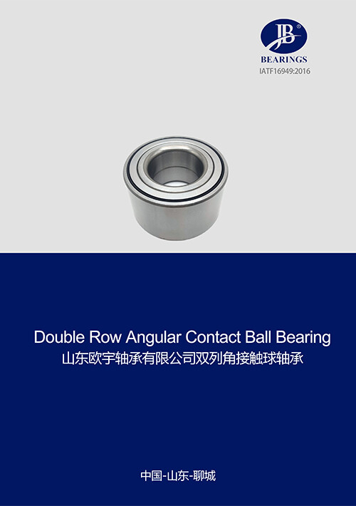 Double Row Angular Contact Ball Bearing