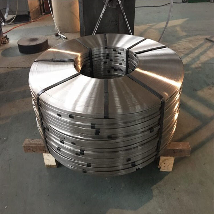 309S  Stainless steel strip