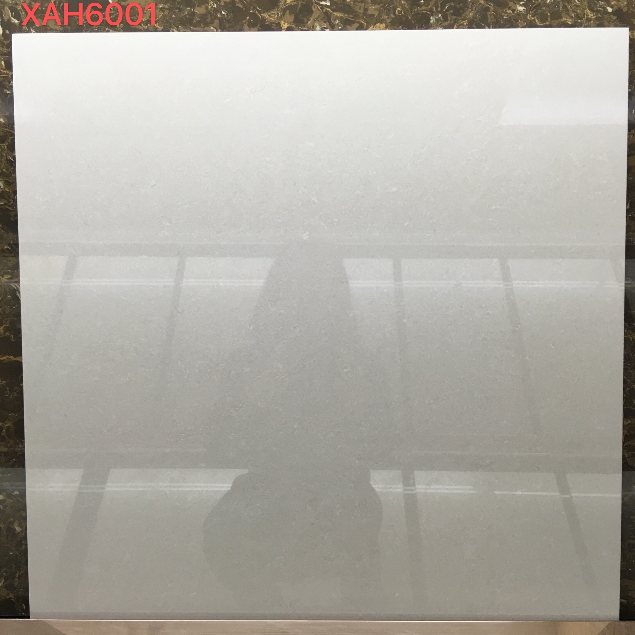 Polished porcelain tiles 