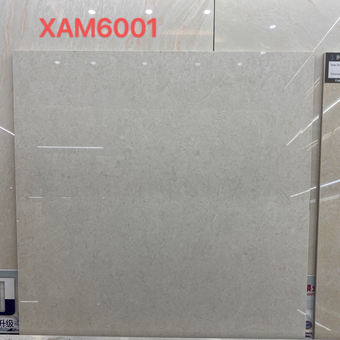 Polished porcelain tiles 