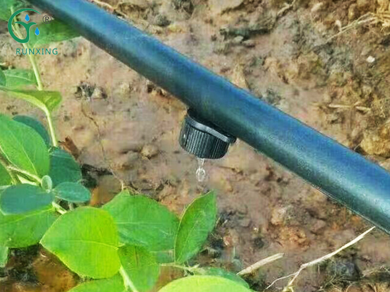 Pressure Compensated Dripper Irrigation