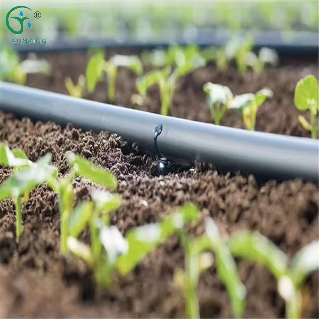 The Benefits of Drip Irrigation for Corn Fields: Enhancing Crop Growth and Efficiency The Benefits of Drip Irrigation for Corn Fields: Enhancing Crop Growth and Efficiency