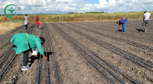 Why Farmers Choose Drip Irrigation?