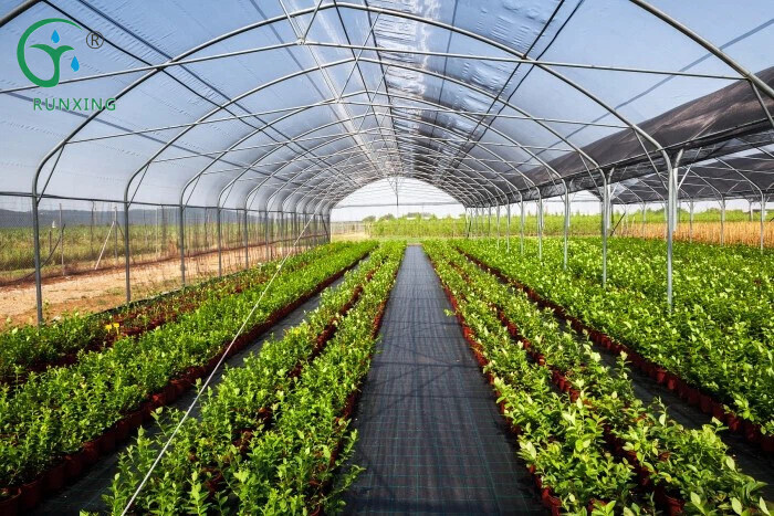 Advantages Of Drip Irrigation For Greenhouse Vegetables