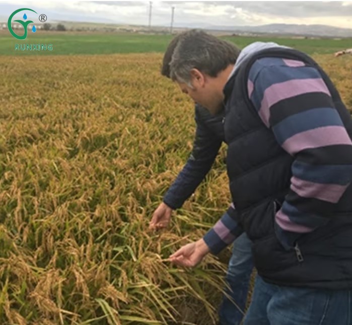 素材3.png 素材3.png