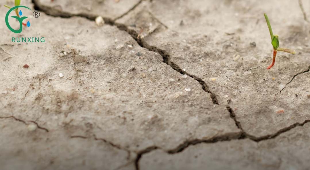 Is Soil Salinity a Threat to Our Food Security? Is Soil Salinity a Threat to Our Food Security?